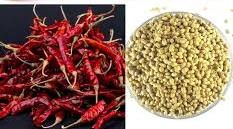 Lal Mirch or Dhaniya1